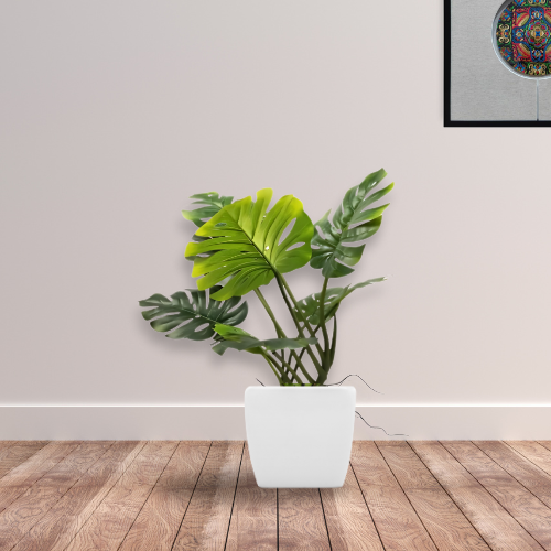 Monstera Tropical de 100 cm con 10 Hojas