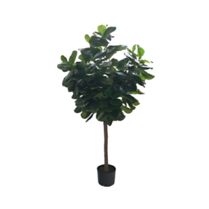 Dale un toque de elegancia y sofisticación a tu espacio con nuestro Árbol de Violín de 10 pies. Con 248 niveles de hojas grandes, este árbol artificial es ideal para aquellos que desean disfrutar de la belleza natural sin los cuidados que requieren las plantas reales. Su diseño meticuloso y materiales de alta calidad aseguran que esta pieza destaque en cualquier habitación, creando un ambiente acogedor y estilizado.